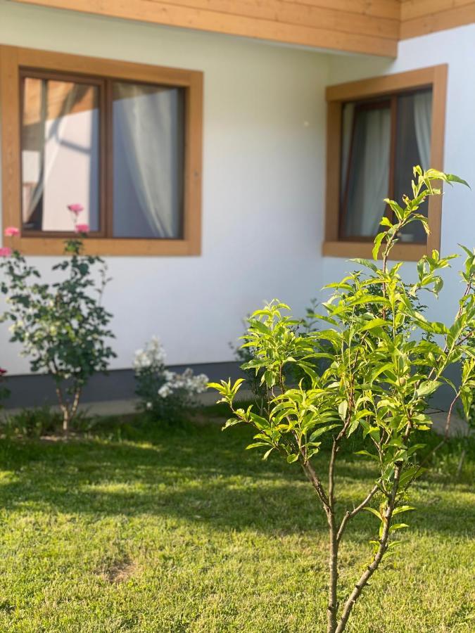 Anahouse 호텔 Vişeu de Sus 외부 사진