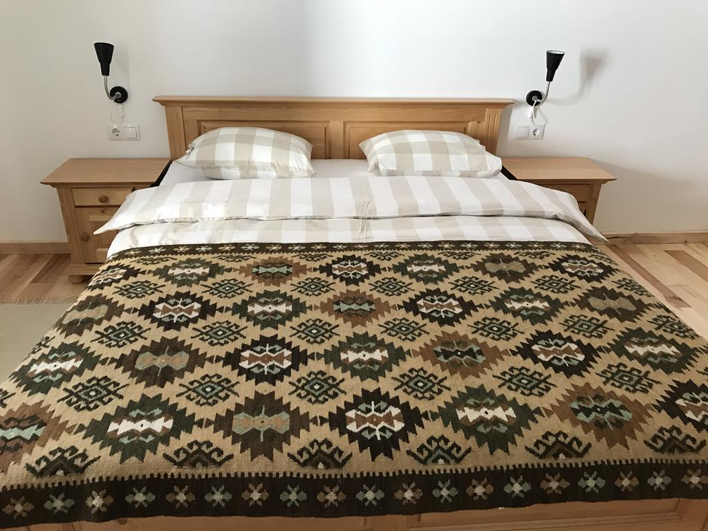 Anahouse 호텔 Vişeu de Sus 외부 사진