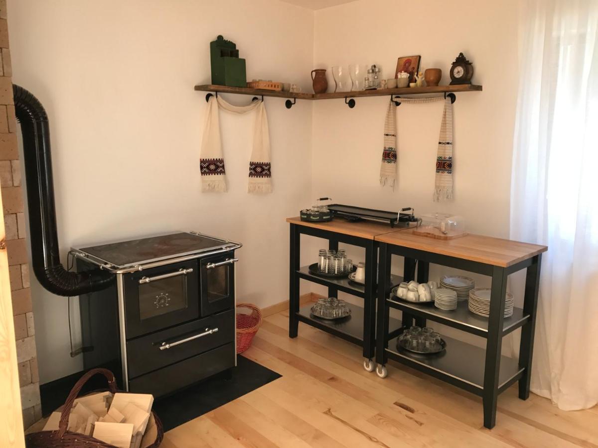 Anahouse 호텔 Vişeu de Sus 외부 사진
