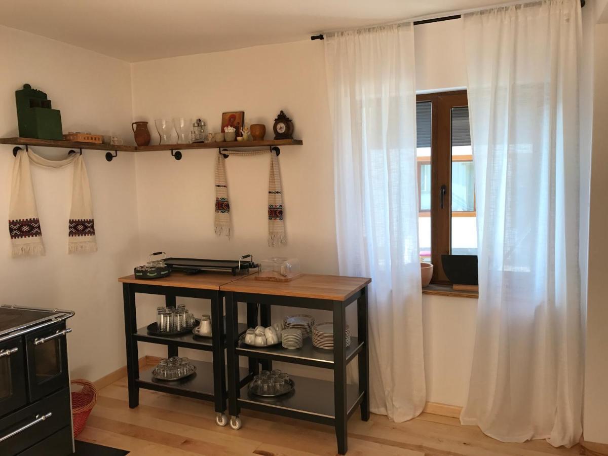 Anahouse 호텔 Vişeu de Sus 외부 사진